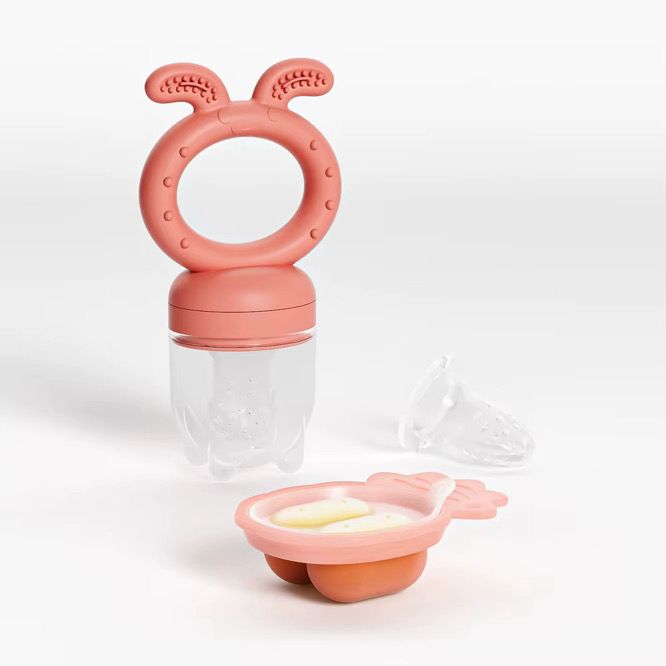 Baby Fruit Food Feeder and Mini Frozen Snack Tray Combo